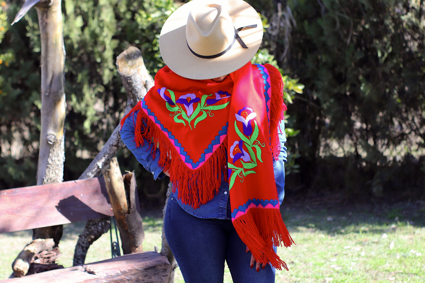 Rebozo Santa Ana Bordado a Mano