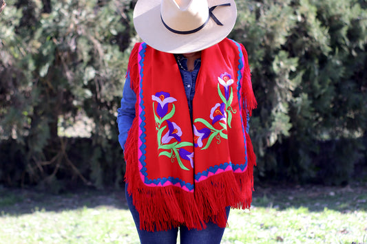 Rebozo Santa Ana Bordado a Mano