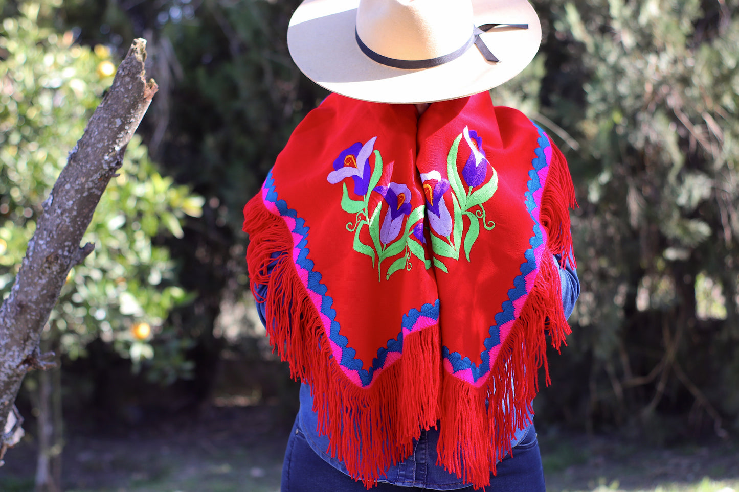 Rebozo Santa Ana Bordado a Mano