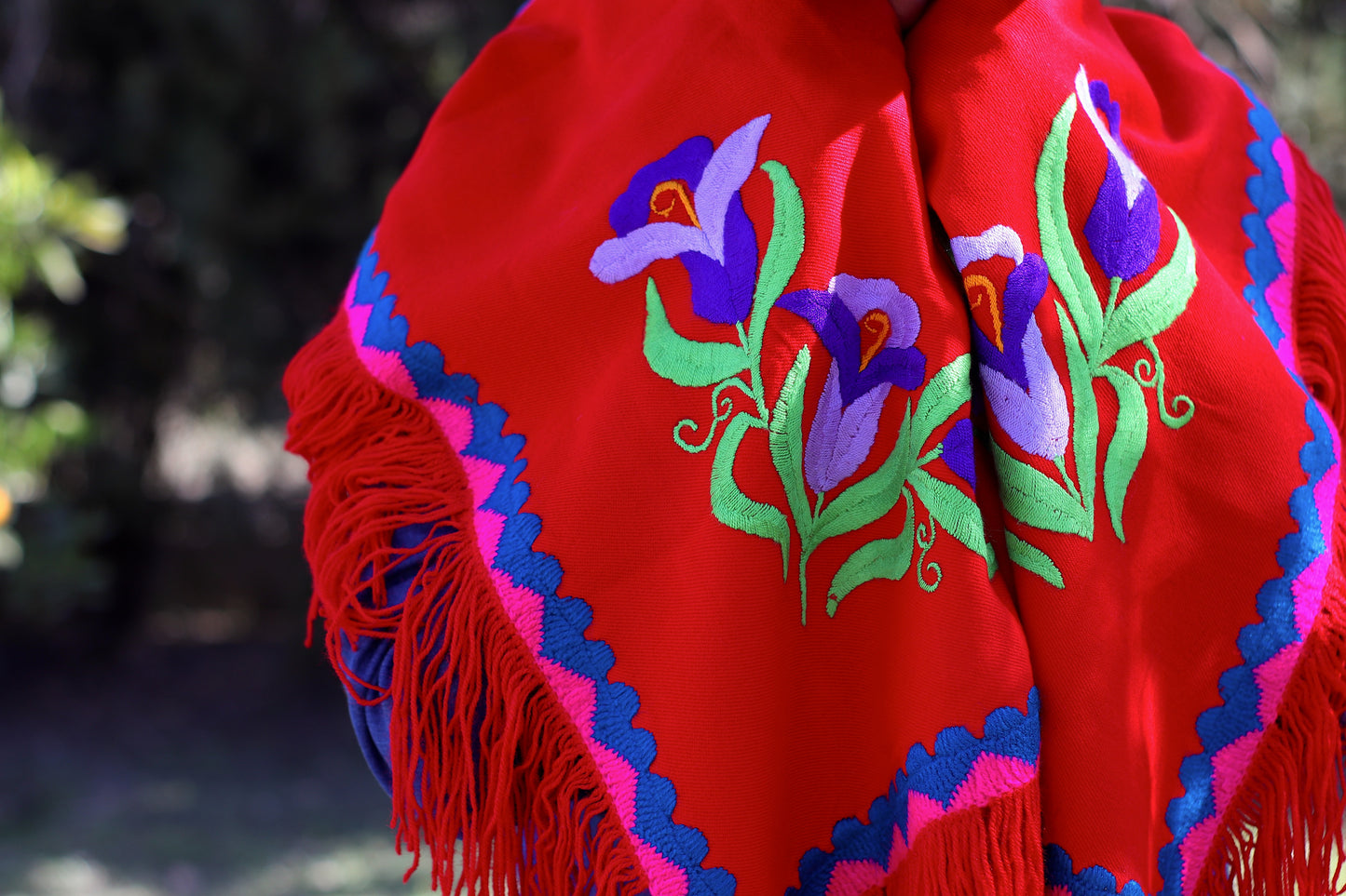 Rebozo Santa Ana Bordado a Mano